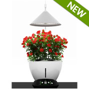 Floreira Hidropnica - J601 - JardiNice